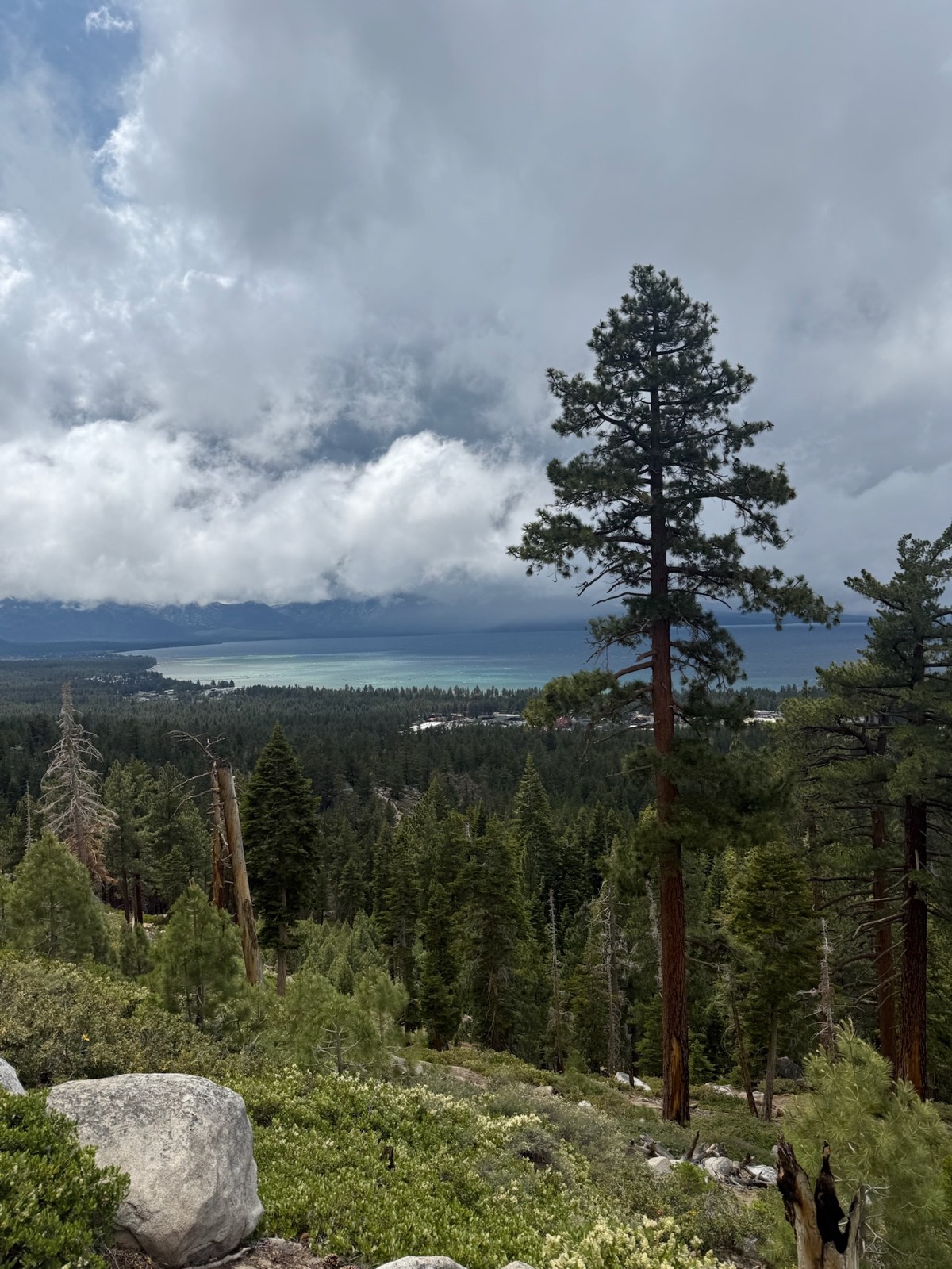 Pine forest and alpine lake view above South Lake Tahoe